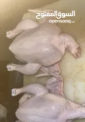  4 دجاج طازج فرش.